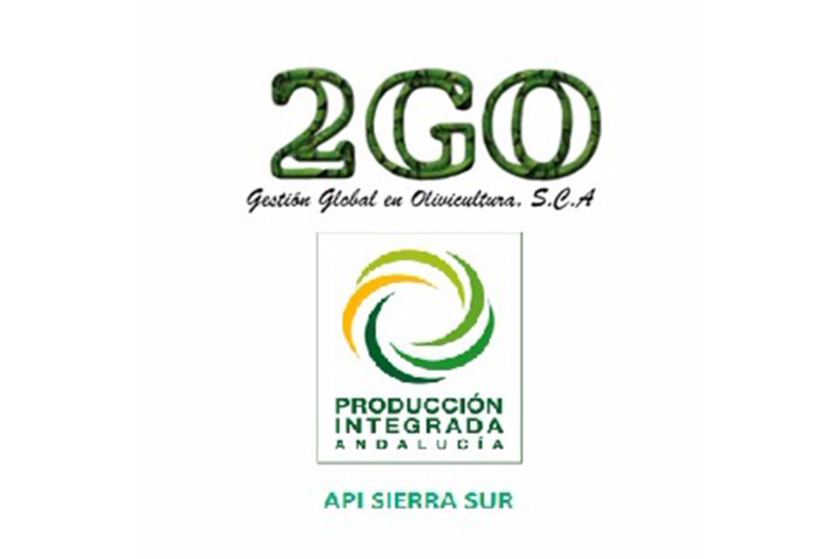 Colleagues Corporate Meeting Conference Team Concept