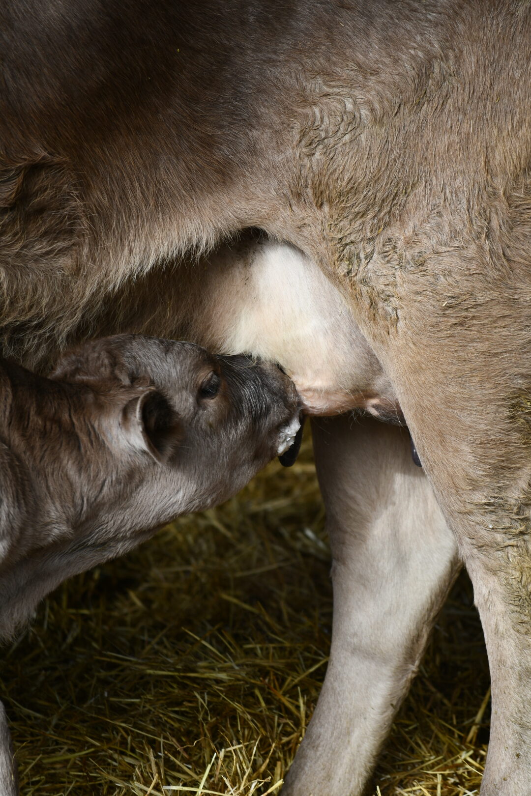 DSC_8207 - Crica Sociedad Cooperativa