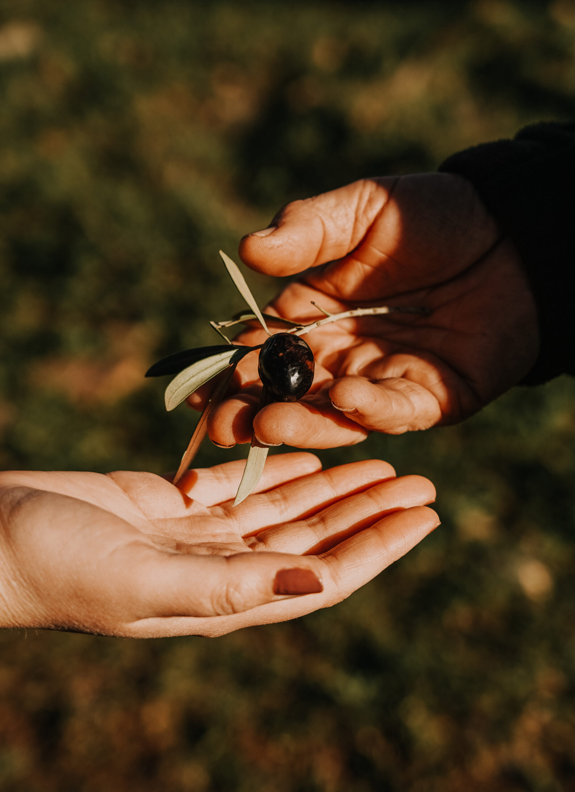 Etiecca_camara_-23 - Etiecca