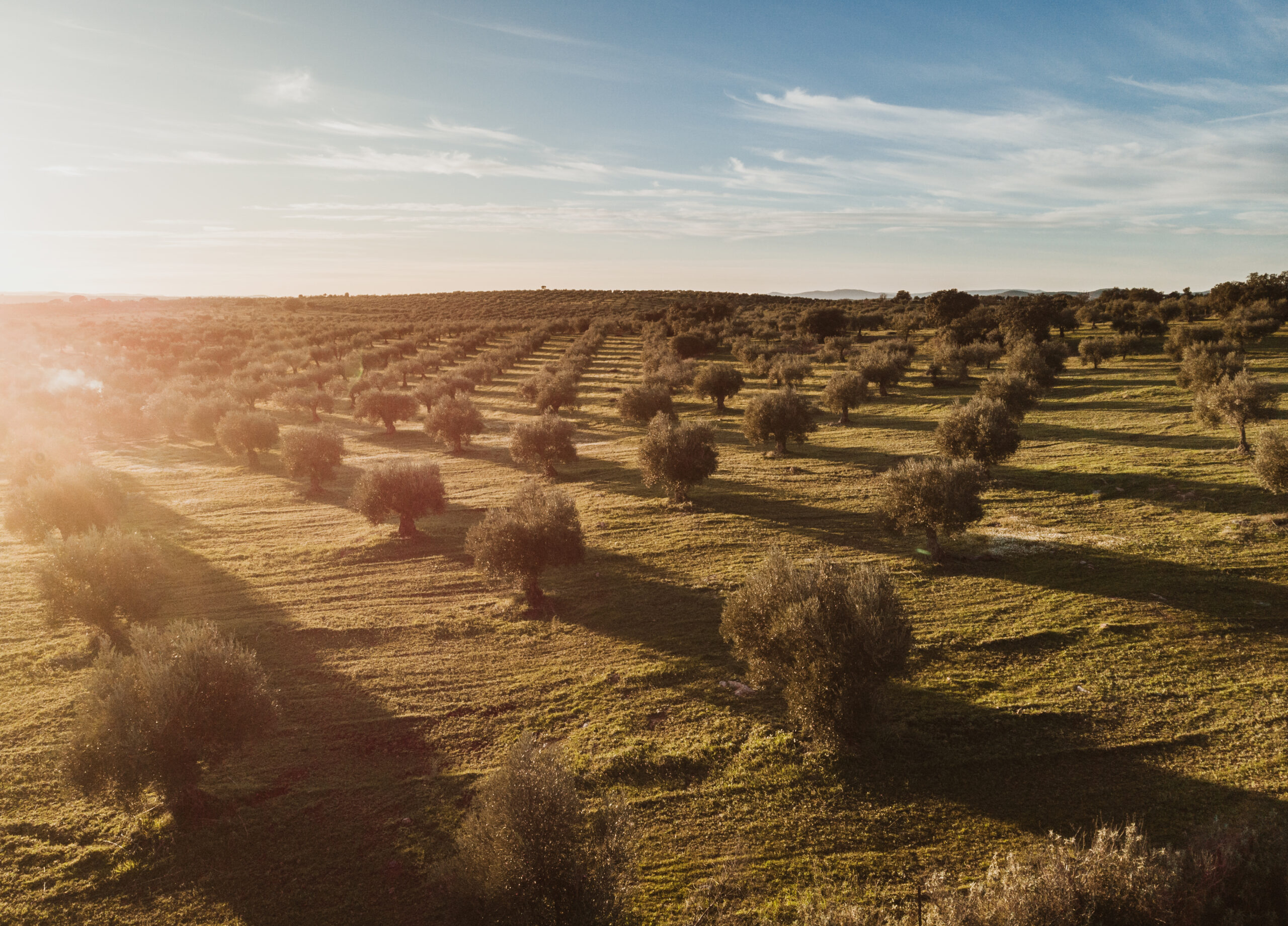 Etiecca_drone_-13 - Etiecca