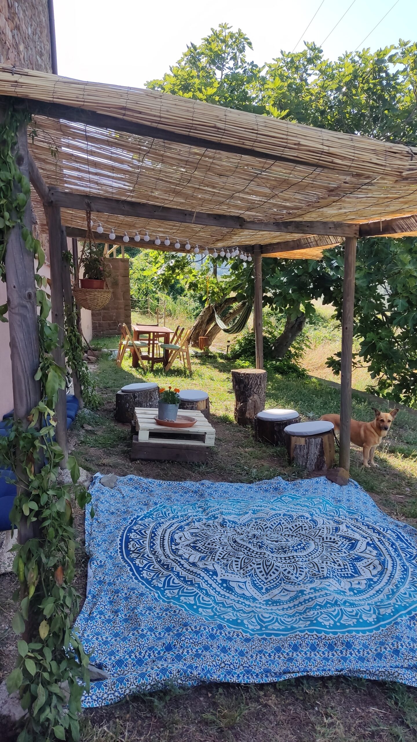 IMG_20240726_105132 - David Budó Martí