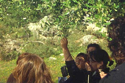 31 - Granja escuela Buenavista