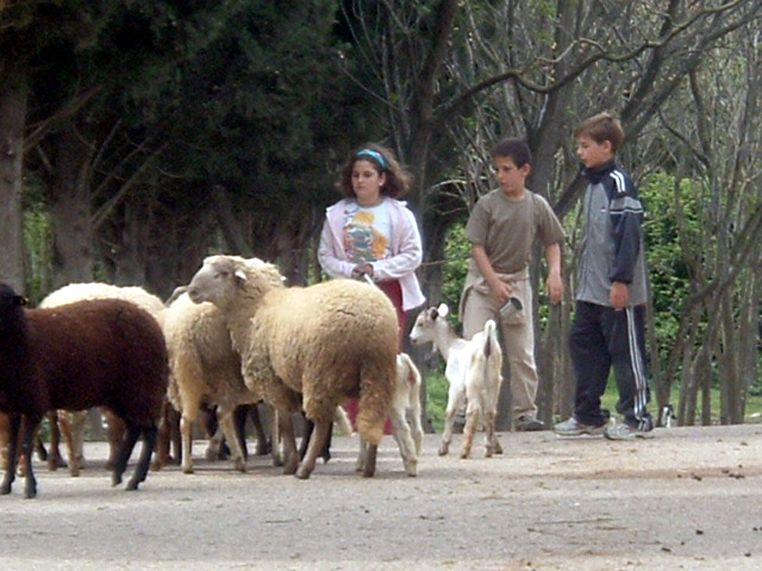DSCF2169 - Granja escuela Buenavista
